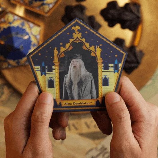 Harry Potter Chocolate Frog Mold - Met 6 DIY boxen en 12 Wizard