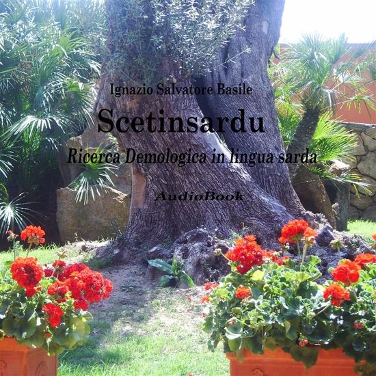 Scetinsardu - cover
