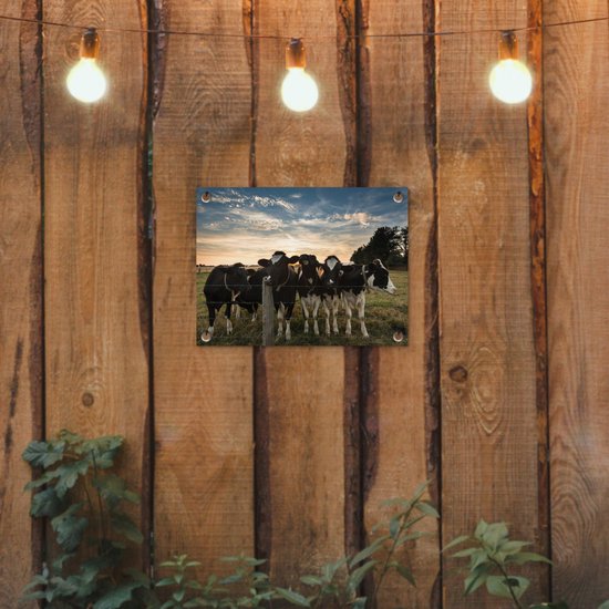 Affiche de jardin - Vache - Animaux - Ciel - Coucher de soleil - Toile jardin - Tableau jardin extérieur - 40x30 cm - Décoration murale - Décoration murale
