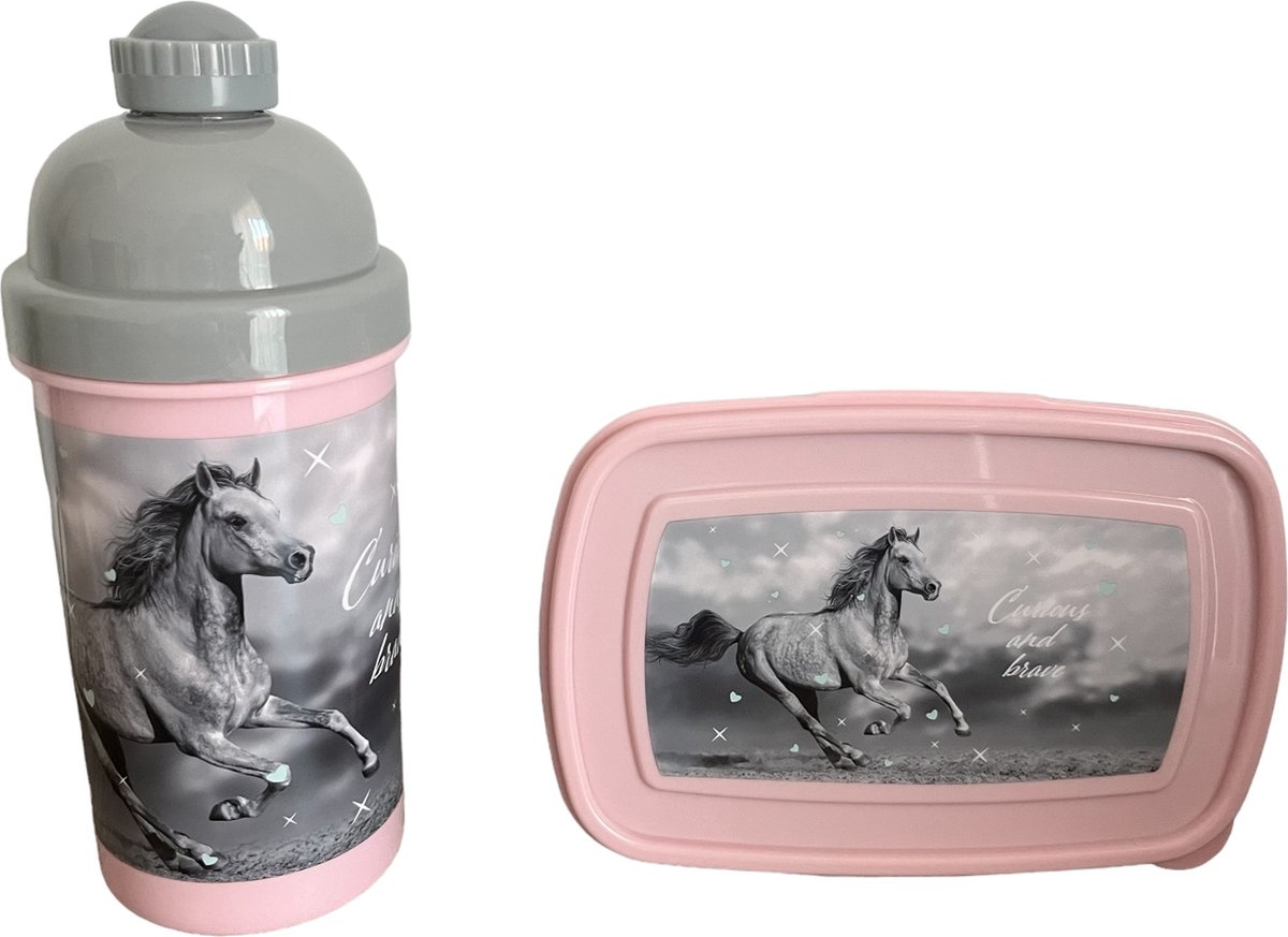 Paso waterfles en broodtrommel bidon lunchbox drinkfles 550 ml 18 5x13x6cm paard