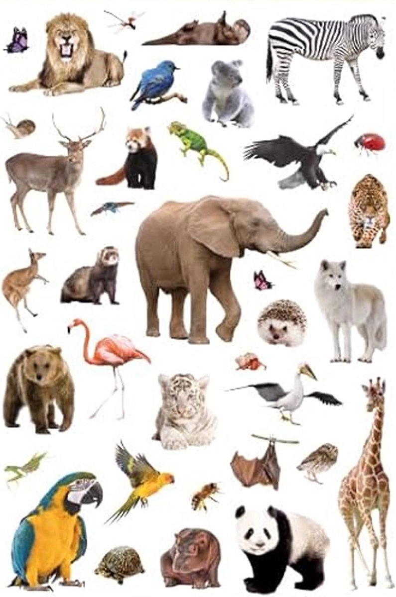 Wilde Dieren Stickers - 4 Grote Stickervellen - Knutselen Kind - Stickers Dieren — afbeelding 8