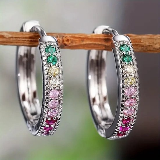 Zilverkleurige oorringen met regenboogkleurige stenen, hangend aan een tak.