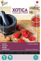 Xotica, Peper Carolina Reaper