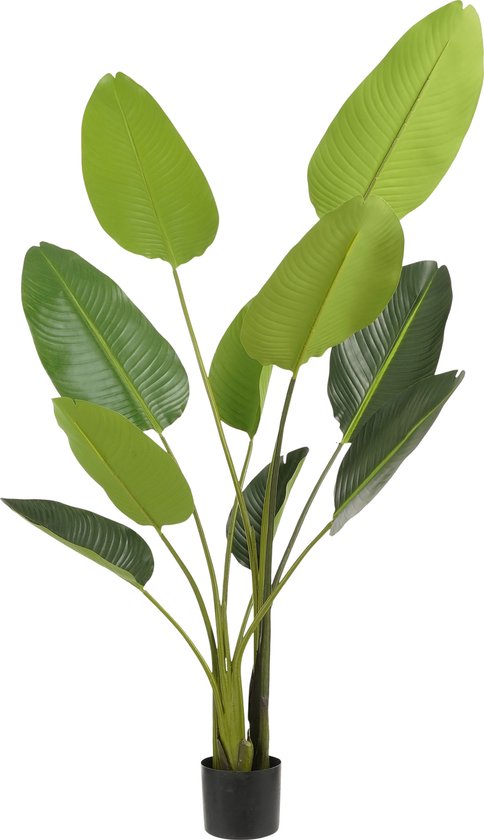 Kunstplant Strelitzia in Pot Groen - H150xD25cm