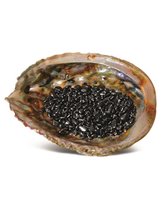 Abalone ontlaadschelp