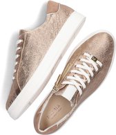 Hassia Bari Lage sneakers - Leren Sneaker - Dames - Goud - Maat 40