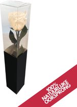 Mundo® Eeuwige roos - Wit - 35cm - Gepreserveerde roos - Decoratief - Cadeau moeders - Liefde