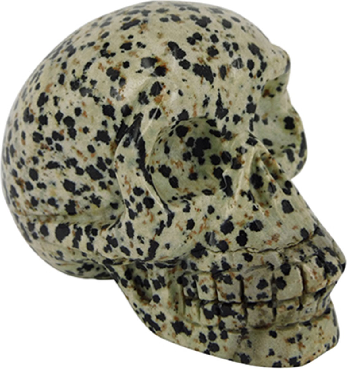 Jaspis dalmatier schedel 70 mm