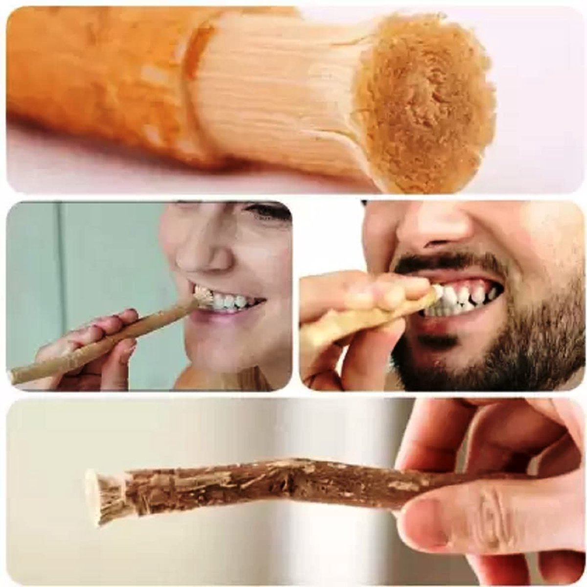 Goedkoopste Miswak - natuurlijke tandenborstel - Ramadan - Tandverzorging - Miswak tanden - Organic Stokje voor tanden Natural Bio Biologisch