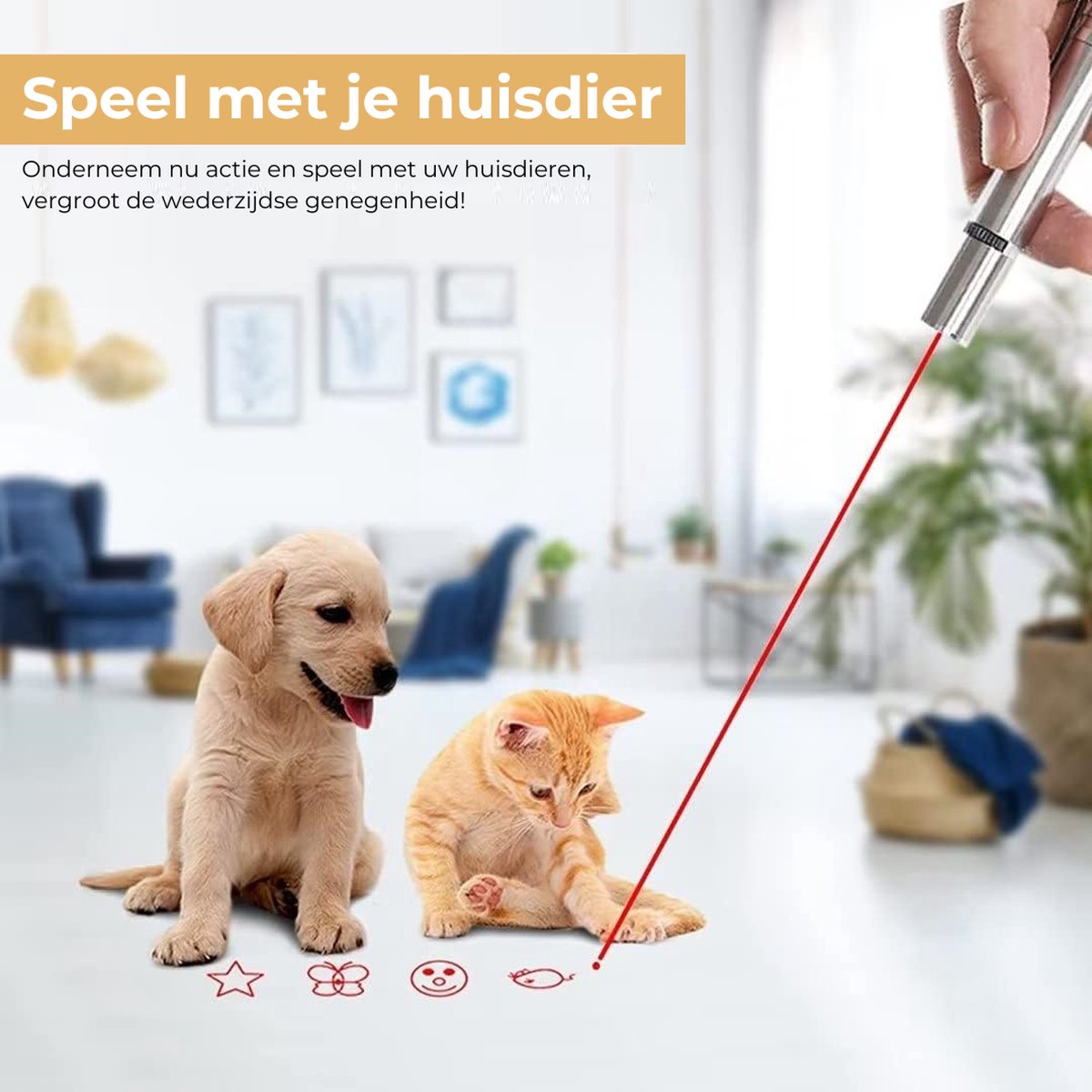 Laavir Laserpen voor Kat en Hond thumbnail 5