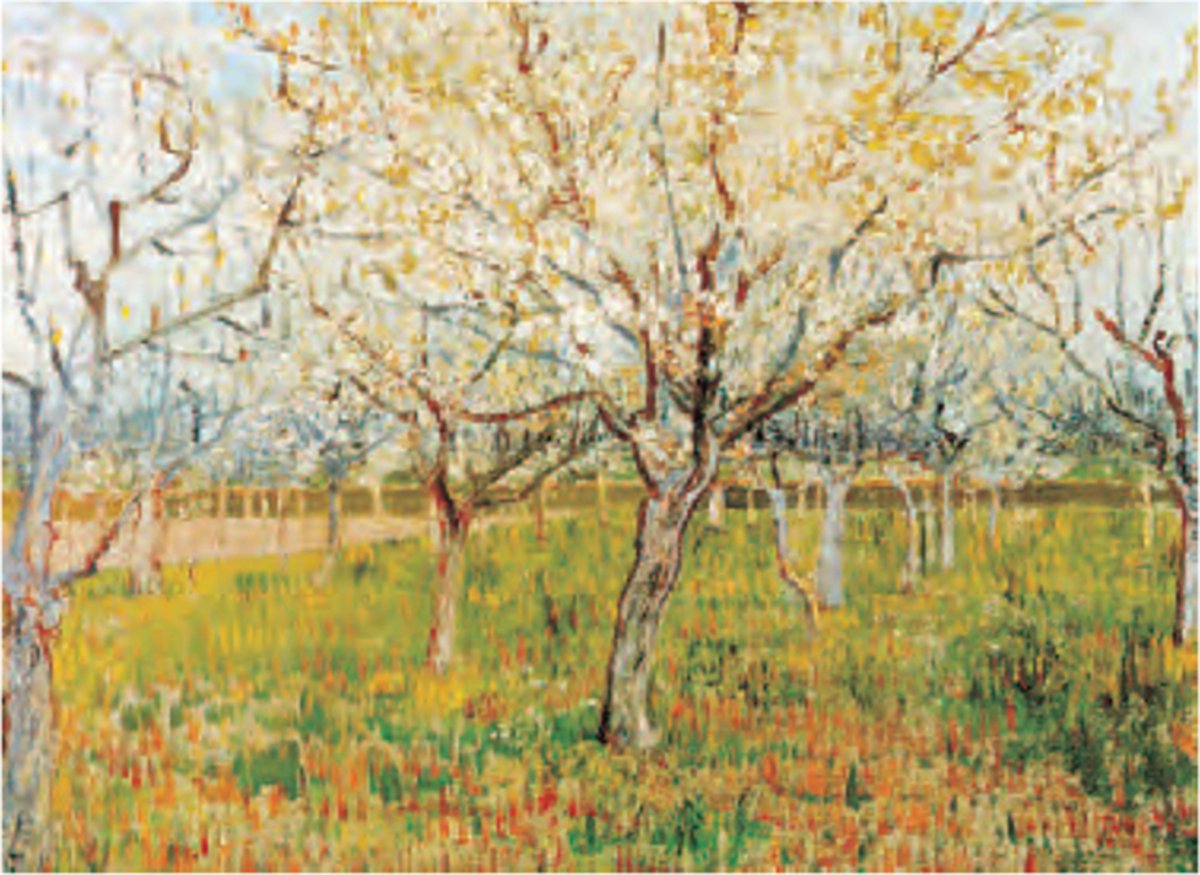 Catch Projecten Vincent van Gogh - De boomgaard - Kunstposter - 40x50 cm Multicolor