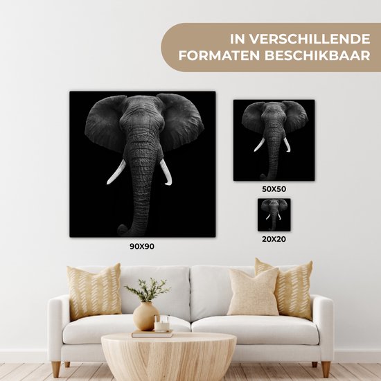 Canvas - Dieren - Olifant - Zwart - Wit - Muurdecoratie - 20x20 cm - Foto op canvas - Canvas schilderijen woonkamer