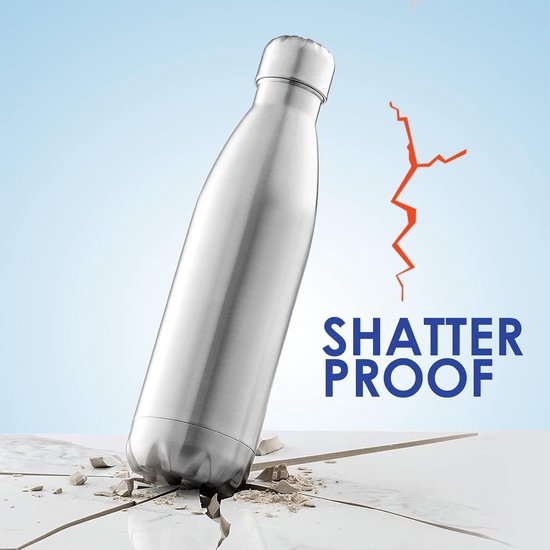 Diversion Safe Water Bottle RVS Stash Can met Verborgen Compartiment voor waardevolle spullen, Lekvrije Geïsoleerde Fles voor Warme en Koude Dranken, Sliver, 730ml