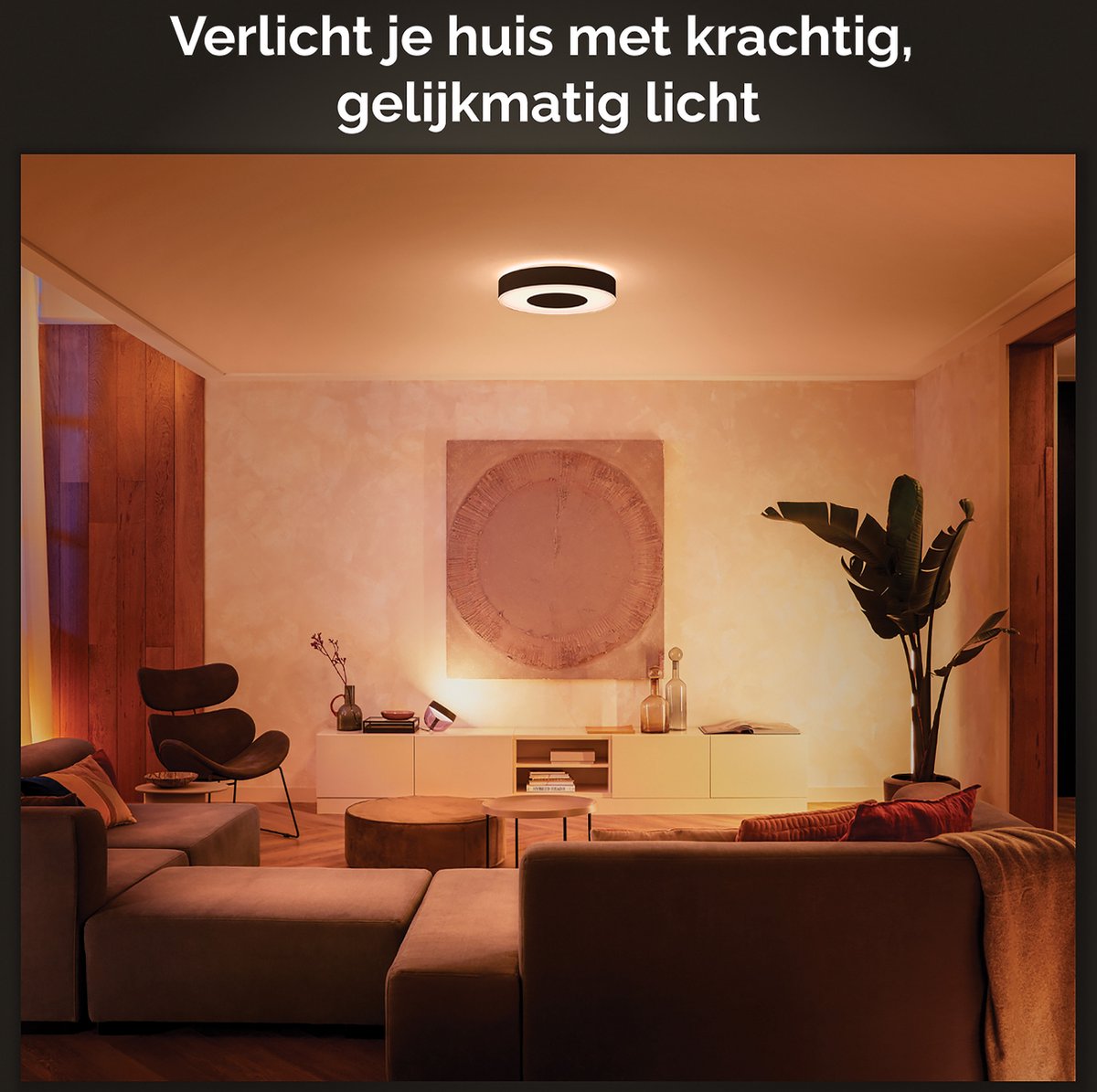 Philips Hue Infuse plafondlamp - wit en gekleurd licht - zwart - 38cm — afbeelding 6