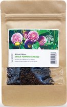 MRS Seeds & Mixtures Dahlia ‘Pompon’ - Dahlia variabillis – groeihoogte: 50-120 cm – prachtige kleuren – eenjarige bloem – kan gebruikt worden als snijbloem – geschikt als borderplant – erg mooie opgerolde bloemblaadjes