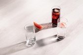 Whiskyglas Simple Set van 6 - Rechte tumbler voor whisky - Vaatwasmachinebestendig - Tritan-kristalglas - Made in Germany - Artikelnr. 123664