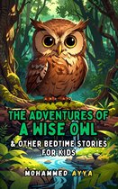 The Adventures of a Wise Owl