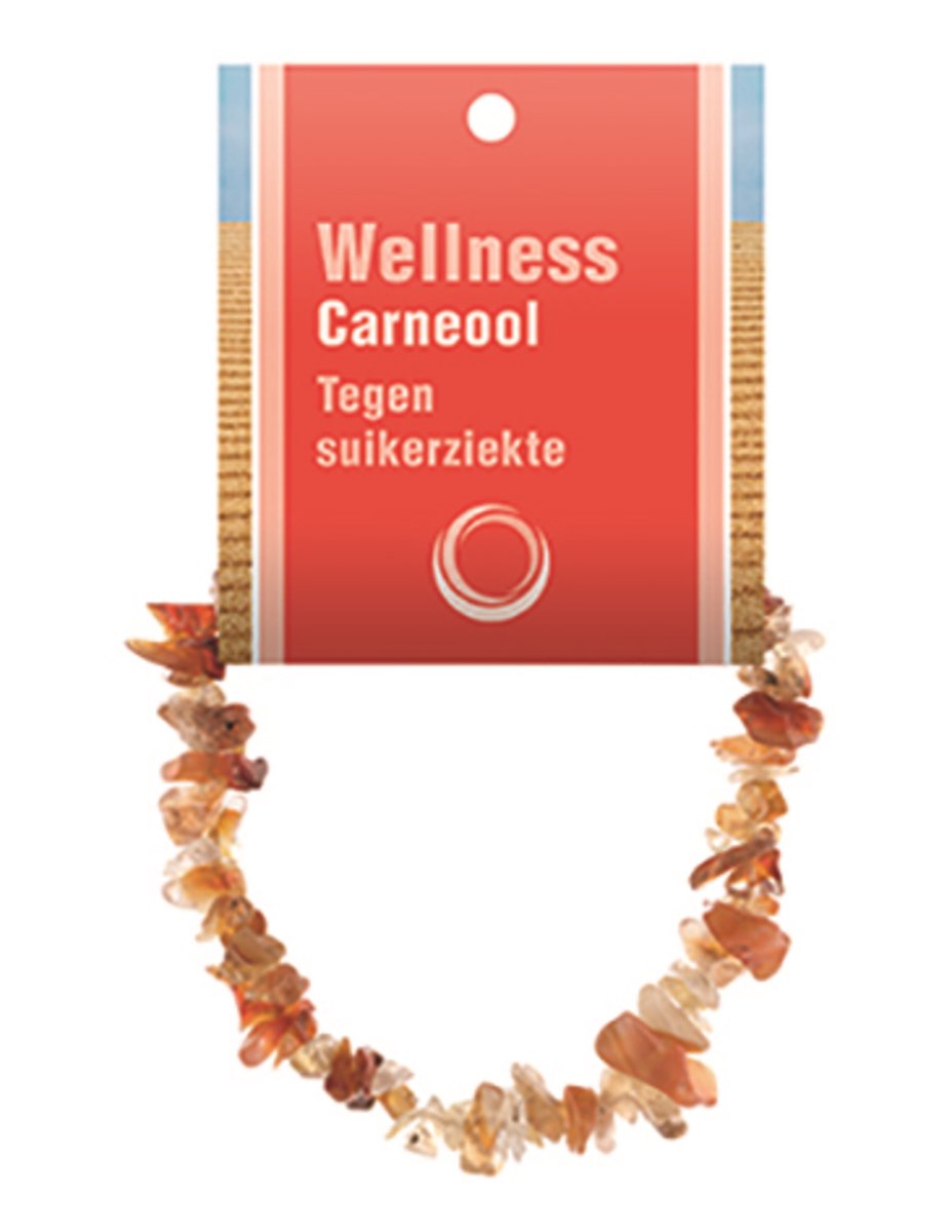 Splitarmband Carneool - met Uitleg Kaartje