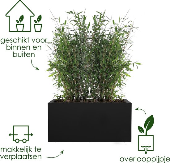 Zwarte plantenbak met veel groen, geschikt voor binnen en buiten.