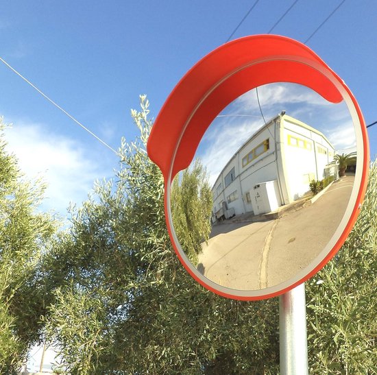 Bewakingsspiegel koepelvormig 180° - Dan Mirror