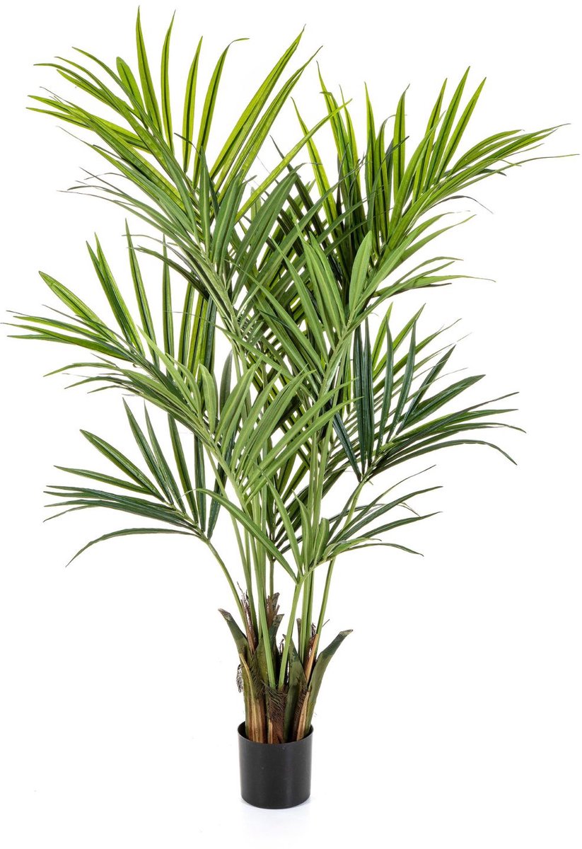 Kentia Kunstpalm 180cm