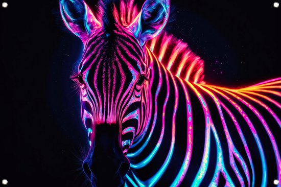 zebra tuinposter - dier tuinposter - Tuinposters psychedelisch - Tuinposters - Buitenschilderij schutting - Tuin decoratie voor buiten tuinposter 90x60 cm