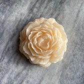 Amberblok witte roos - vanille