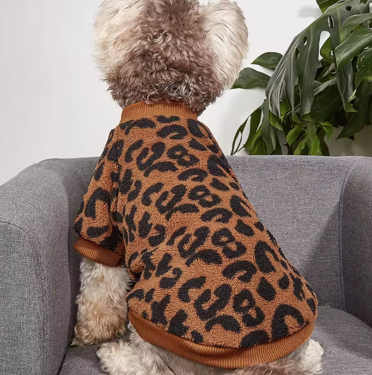 Bol.com Teddy Fleece Hondentrui Leopard Bruin Maat XL Ruglengte 40cm aanbieding