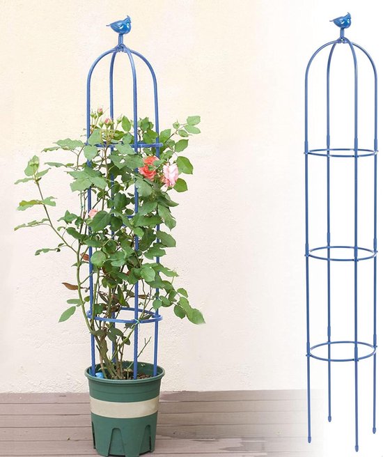 De mooiste klimplanten, snelgroeiend tot rijk bloeiend
