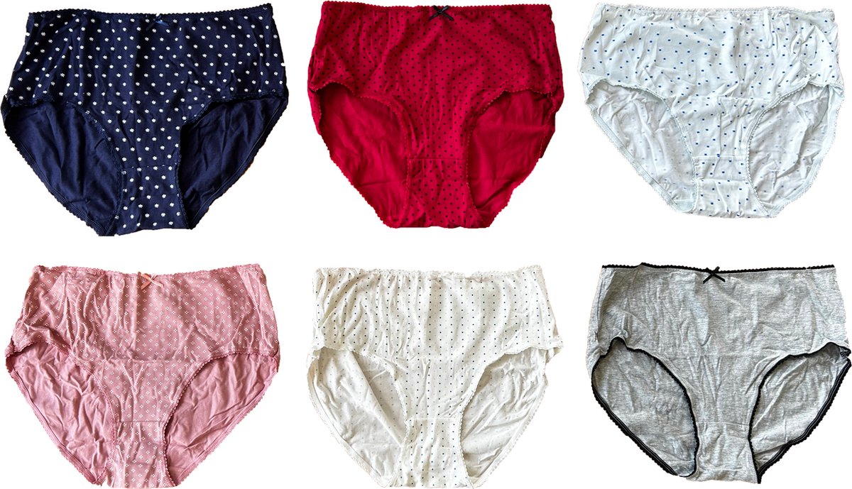 6 Stuks Dames Onderbroeken in Diverse Kleuren - M