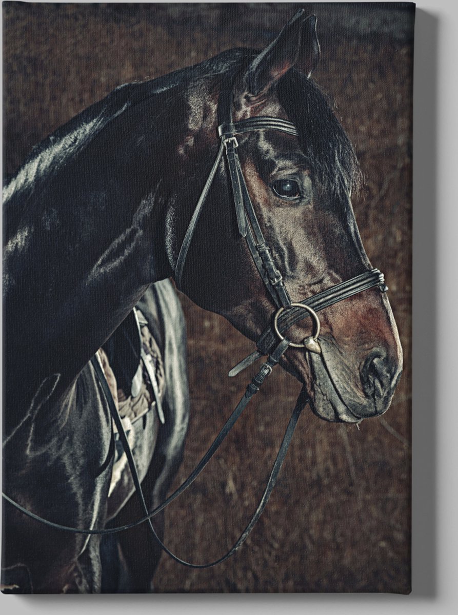 Trendex Global Canvas Schilderij - Dieren - Paard - Portret - wanddecoratie - 90x60x2 cm Zwart