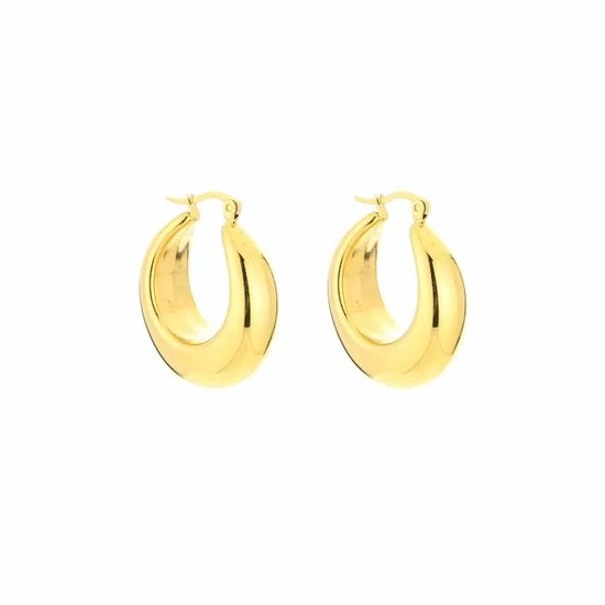 Boucles d'oreilles Bijoutheek Créoles Épaisses Goud