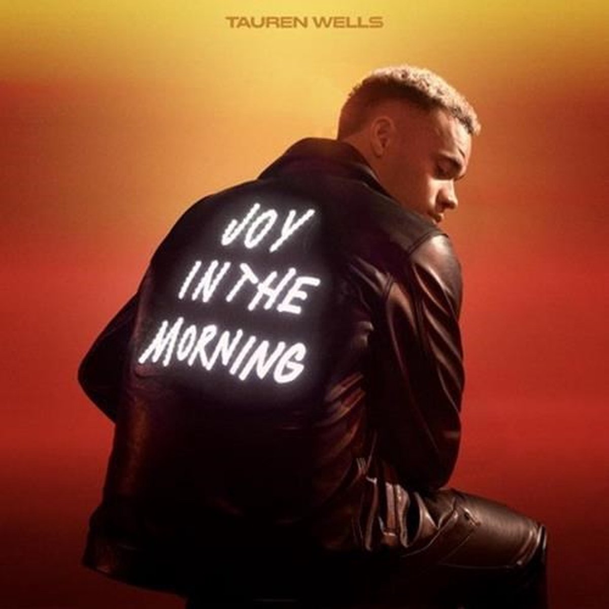 Tauren Wells - Joy In The Morning (LP)