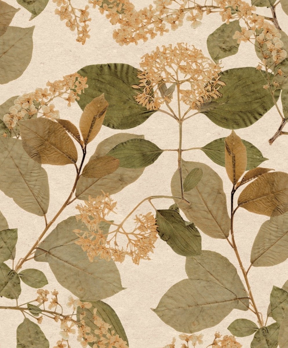 Herbarium - Vliesbehang - Leaves - Blaadjes - Bruin - 0,53 x 10,05 M.