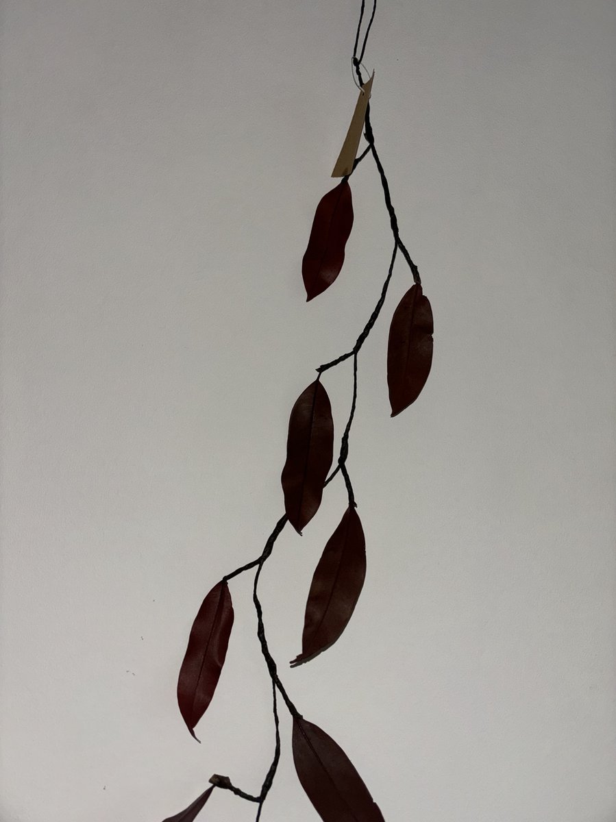 Decoratie bladeren