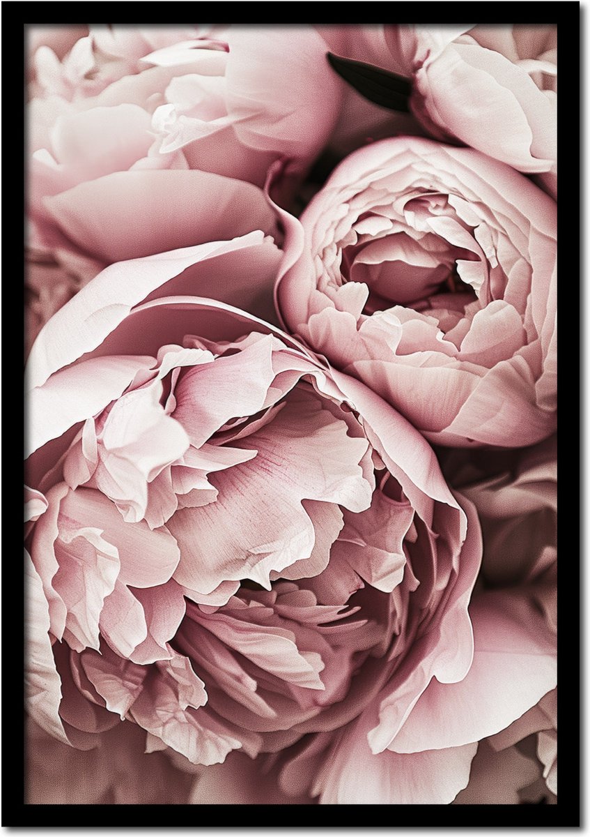 Plakkers Poster gesloten pioenrozen - 30cm x 40cm - vintage - woonkamer - slaapkamer - bloemen posters - goedkoop - muurposter - natuur - wanddecoratie Full-colour
