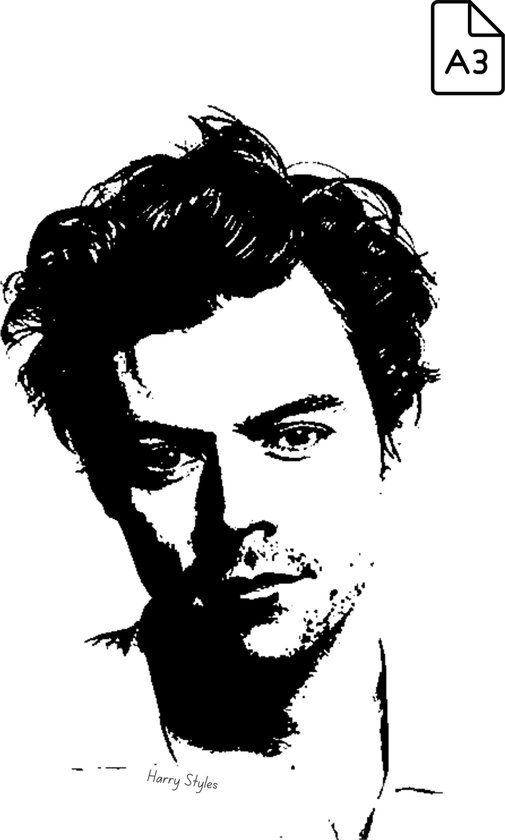 Foto: Muursticker harry styles medium a3 30x42cm kunst one direction love on tour merch wanddecoratie vintage hoogwaardig glans cadeau