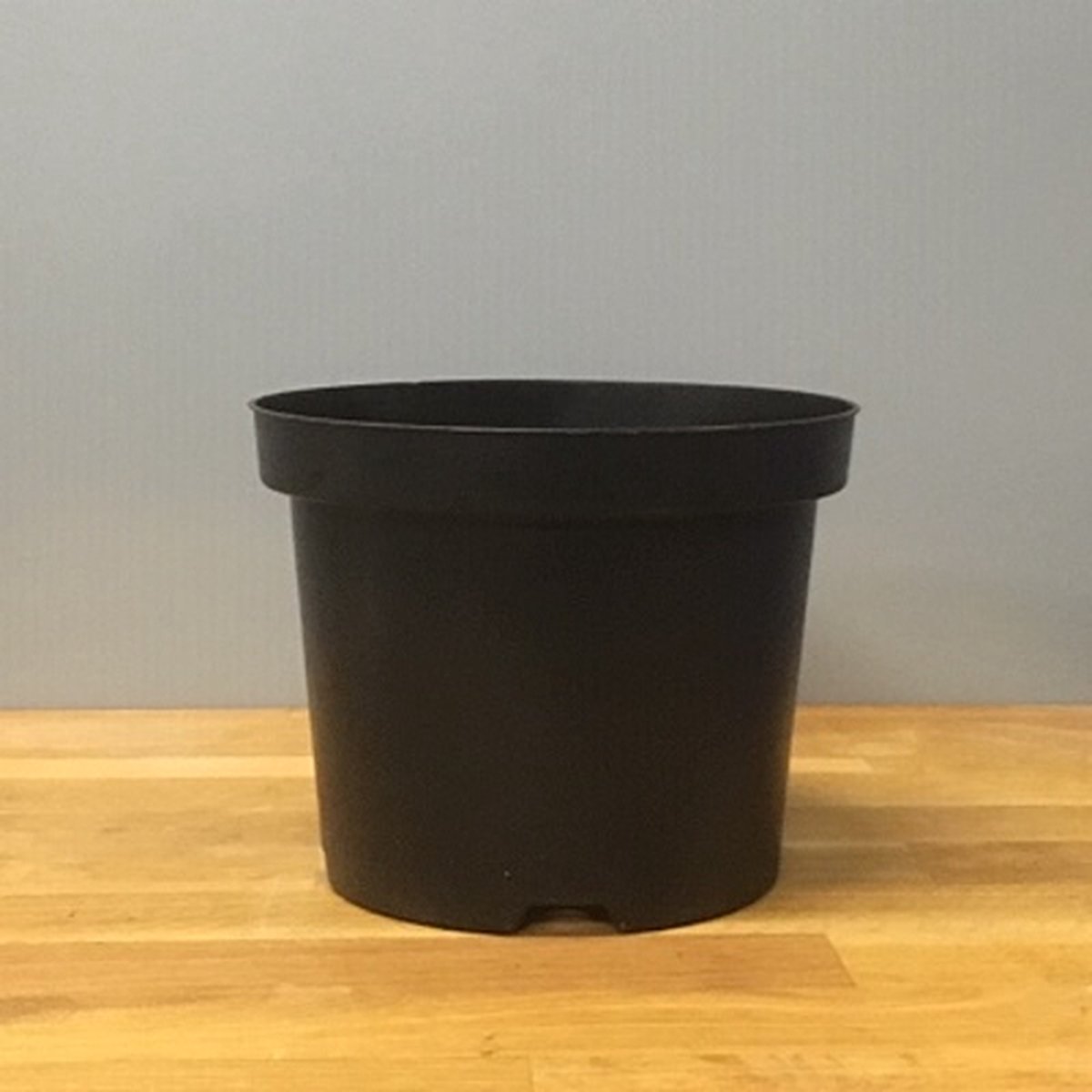 Kweekpot Zwart Rond 3 liter - Ø19cm (10 stuks)