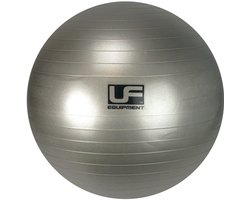 Urban Fitness 500kg Zware Weerstand Zwitserse Gymbal Zilver - 75cm