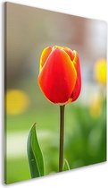 Tulp schilderijen - Bloemen schilderij - Canvas schilderijen Bladeren - Wanddecoratie kinderkamer - Canvas schilderijen - Woondecoratie canvas 40x60 cm