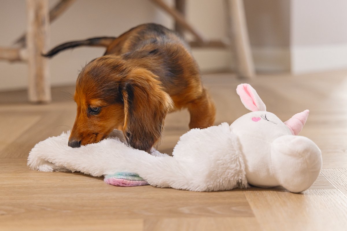 Beeztees Puppy Flatino Unicorn Lo - Puppy Speelgoed - Puppyknuffel - Hondenspeelgoed - Wit 74 x 14 x 15 cm - Hond thumbnail 4