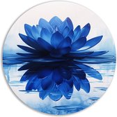 Lotus wandcirkels - Bloem rond schilderij - Muurcirkels Reflectie - Landelijke schilderijen - Wanddecoratie rond - Kunst muurcirkel aluminium 70x70 cm