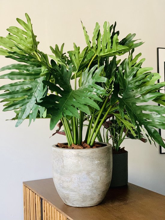Seta Fiori - Groene kunstplant - Philodendron - 60cm -