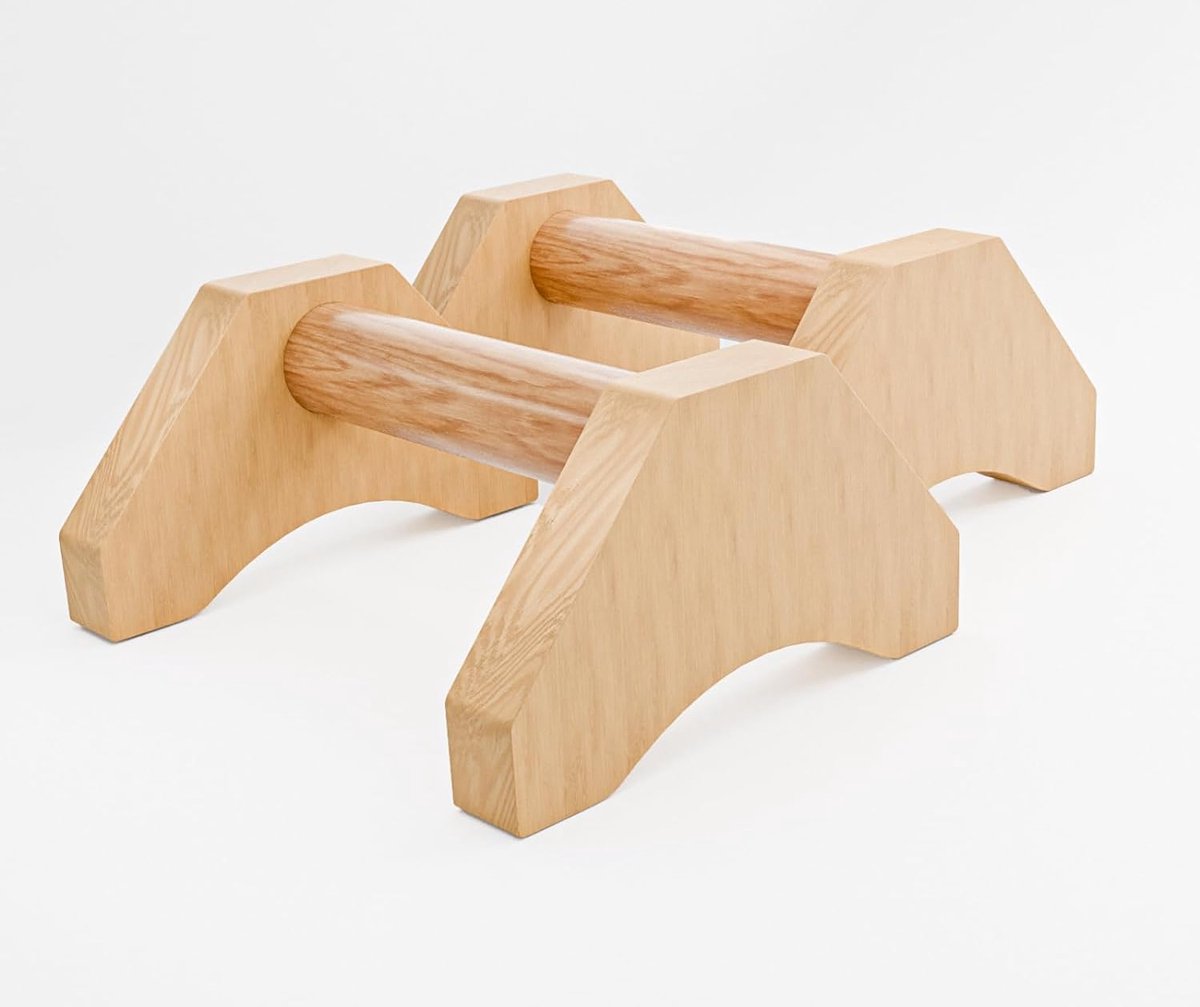 Antislip Parallettes en Push-upgrepen Set voor Calisthenics - Stabiele Handvatten - Lichaamstraining Accessoires - Fitness Apparatuur met Grip - Thuis- en Gymgebruik
