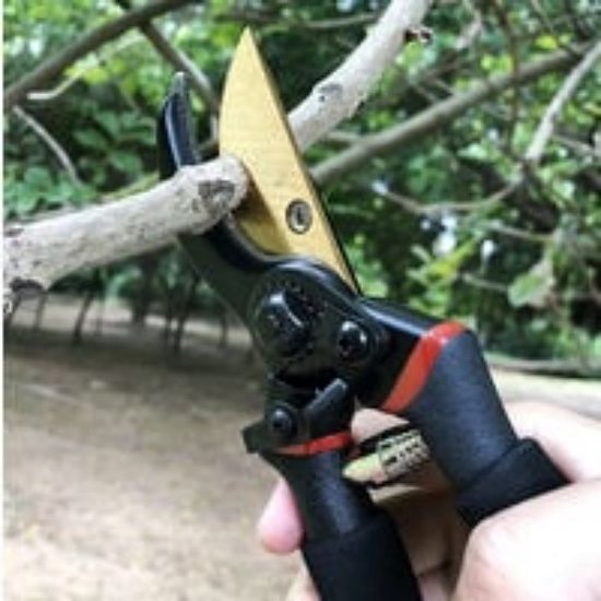 7.9 "upgrade professionele kwaliteit gelegeerd staal snoeischaar bypass, handsnoei, tuinschaar, boom trimmer, tuingereedschap van Haus & Garten — afbeelding 3