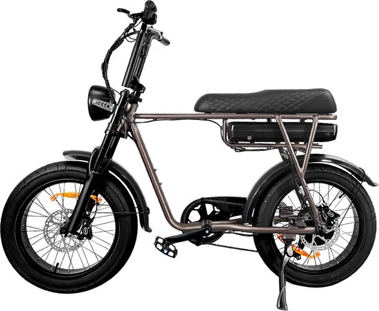 Fatbike EB2 | Elektrische...