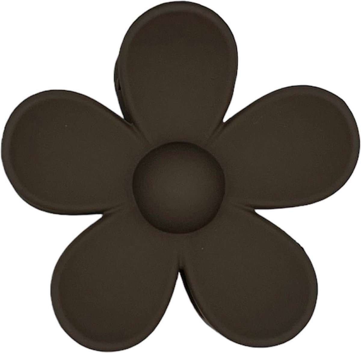 Haarklem - haarklauw - bloem - flower - bruin