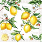 Ambiente - Servetten 'Citrus' (20 stuks, Klein)