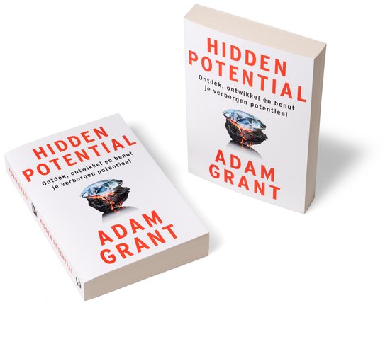 Twee boeken met de titel 'Hidden Potential' en een diamant op kolen.