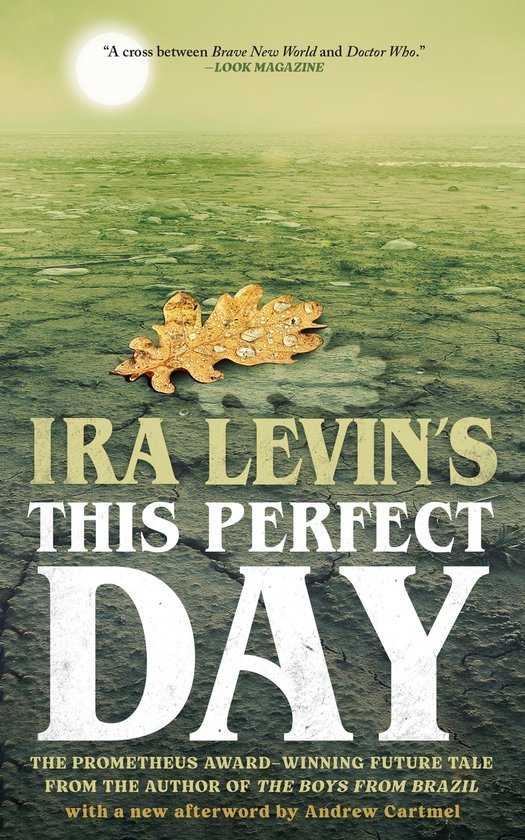 This Perfect Day - cover